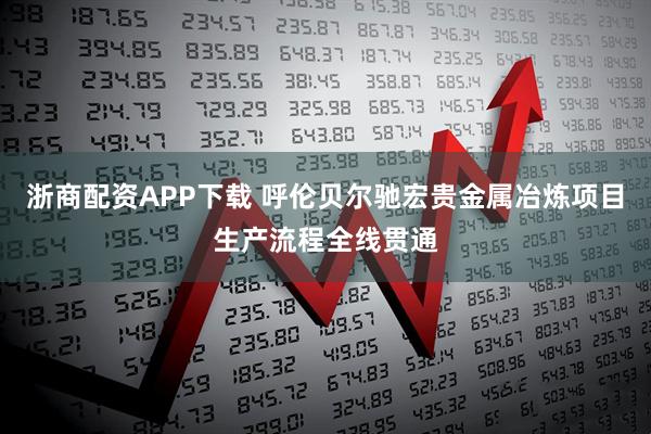 浙商配资APP下载 呼伦贝尔驰宏贵金属冶炼项目生产流程全线贯通