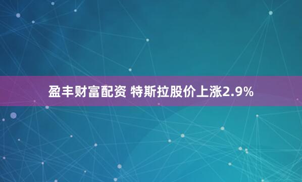 盈丰财富配资 特斯拉股价上涨2.9%